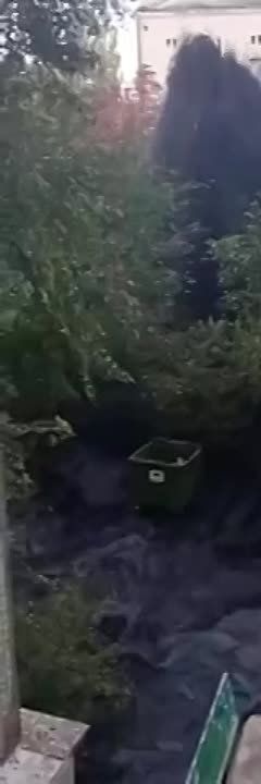 � ������� �� ��������� �������� �����������.