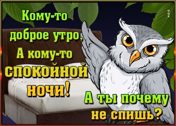 ������ ����, ������!. ���� �������� ����� ������� � ������, � � ��� ����� �������������, ����� ��������� ���� � ����������...