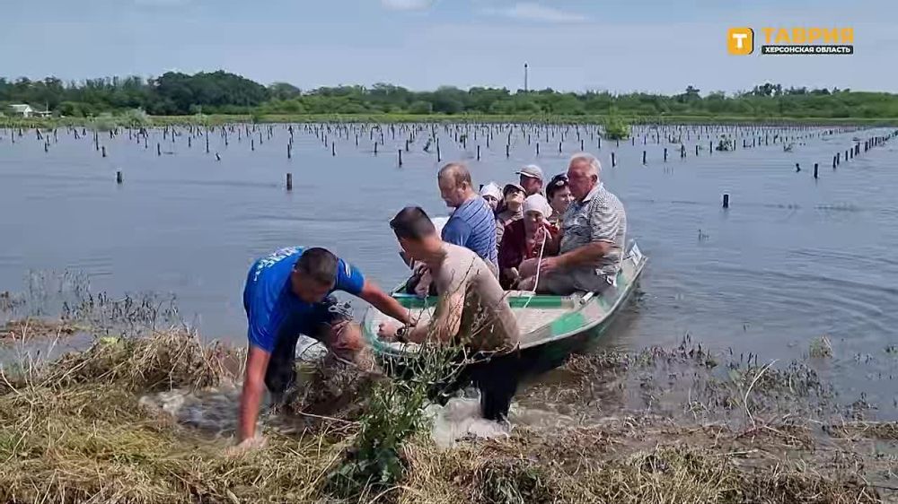 � ������ �������� 91 ��� �� ��� ����������� ������� ����������� �������