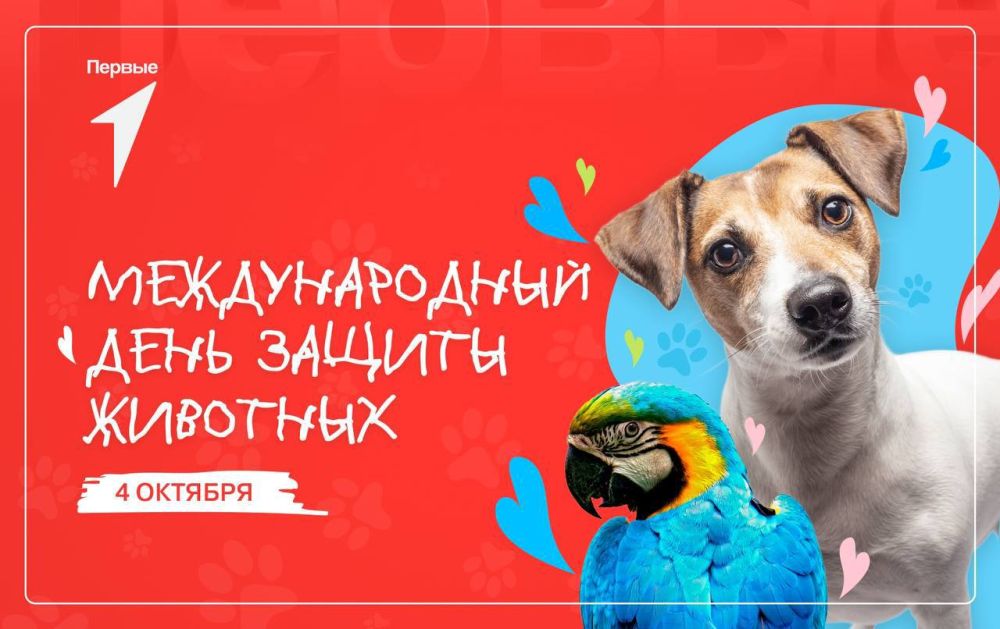 4 ������� � ���� ������ ��������