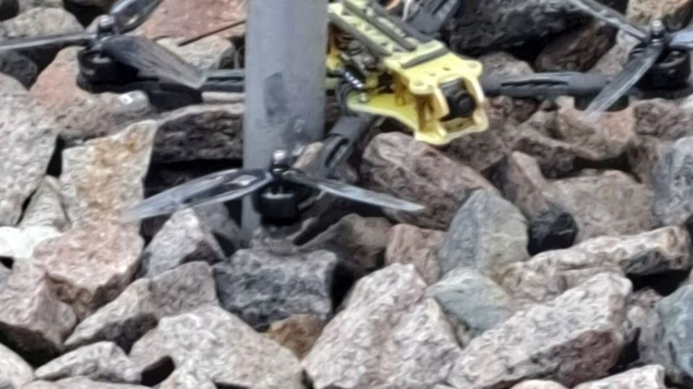 ������� ��������� "����������� �������": ����� �������� ������ �� ������