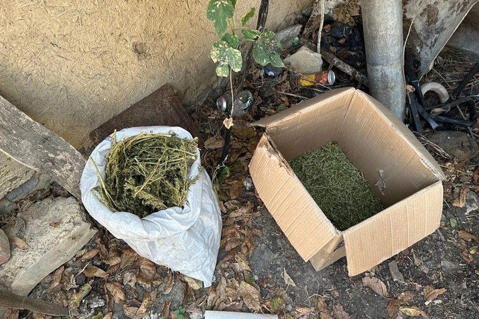 ���������� ����������� ����� � ���� � ������ ���� ������� ��������� ���������