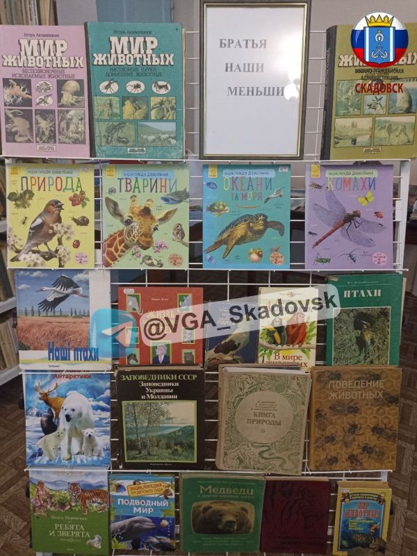 �� ������� ������������ ������� �������� "������ ���� �������"