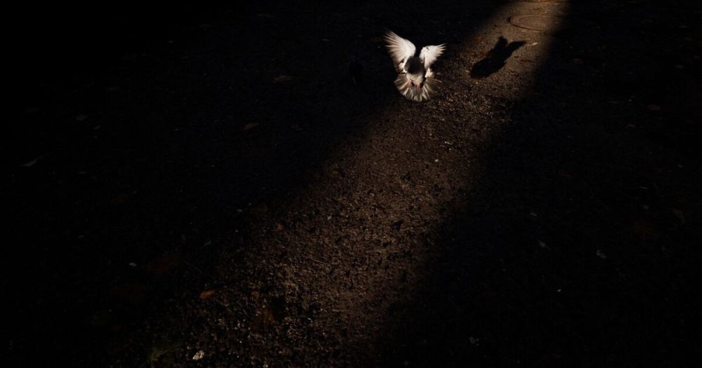 � ���� ������������� ������ �� ����� �����