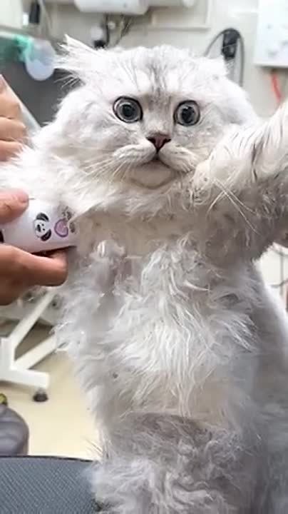 ������� ��� ������.... �������, �������, ������� �������, ��� � ���� �����������. �� ��� ��� ����� ����� �� �� ������ �������