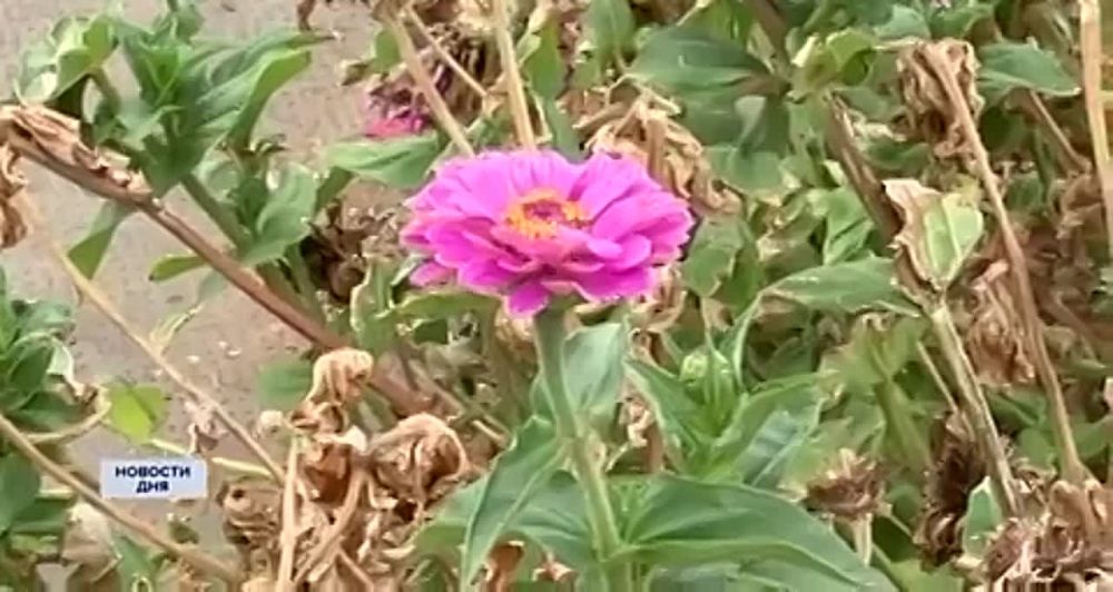 ����������� �� ���������� ������� ���������� � ����������