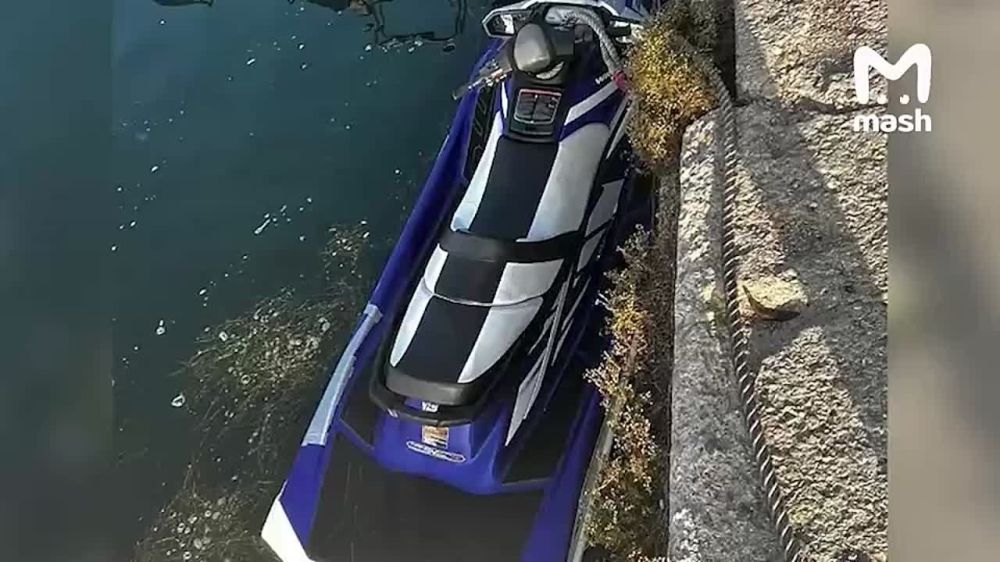 ������ ������ �� ����������� � ����� ���������� �����������