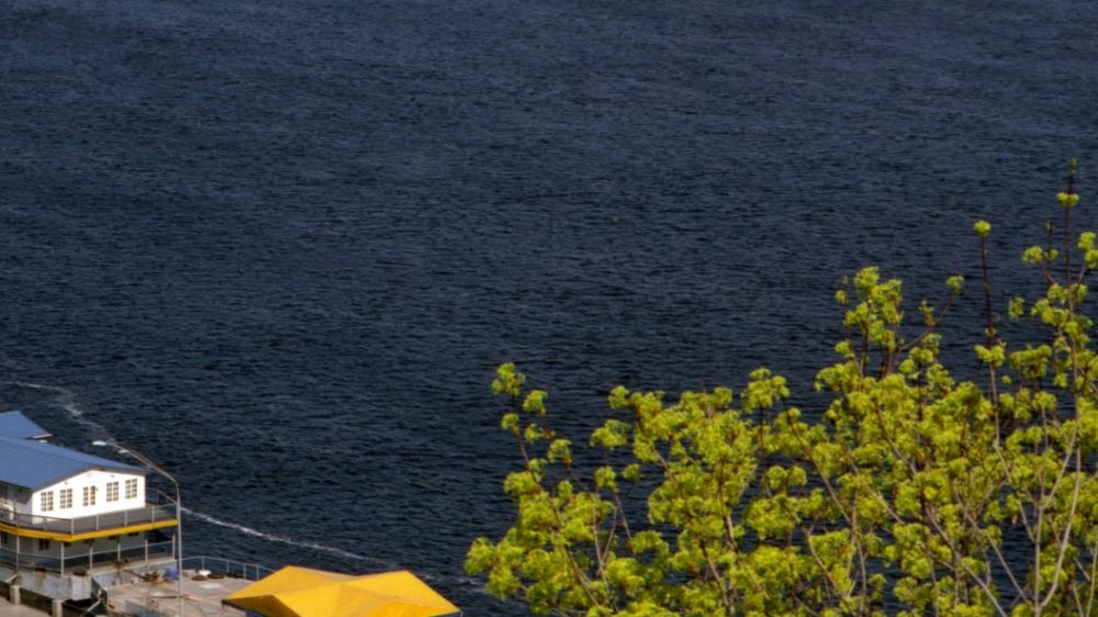 ���������� ������� ����� ��� ������ ��������: ���� ��� �� ����������� ������ ���������