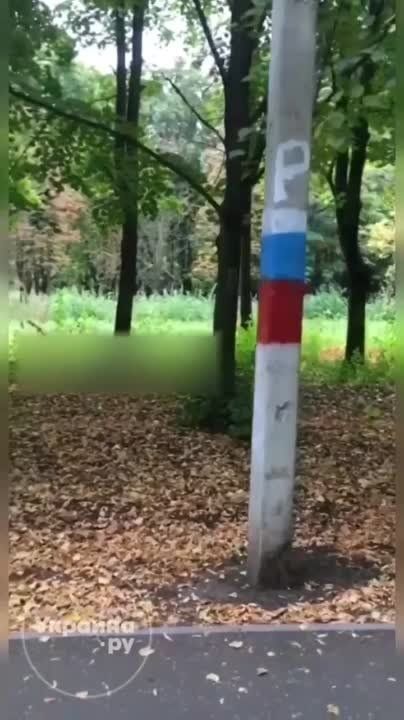 "����� ��� ���� ���������": � ����� �������� ��������� ���������� �����