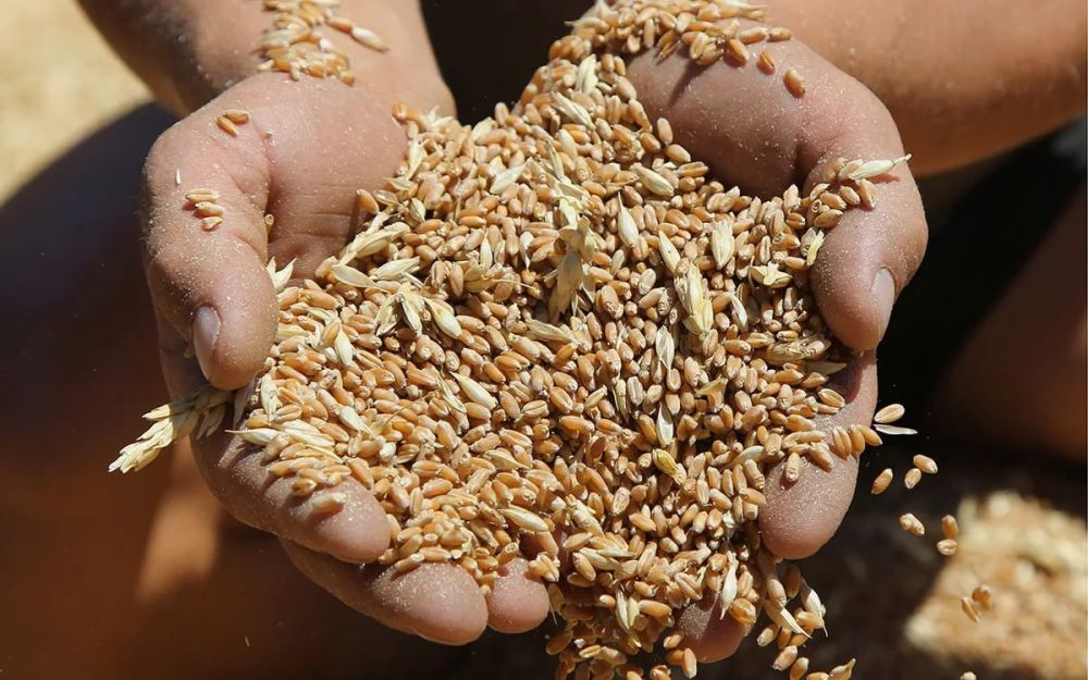 ���������� �������. � ���������� ������� ������� ����� ������ �������� ����� ������ ������� � ���������� ����������, � ���...