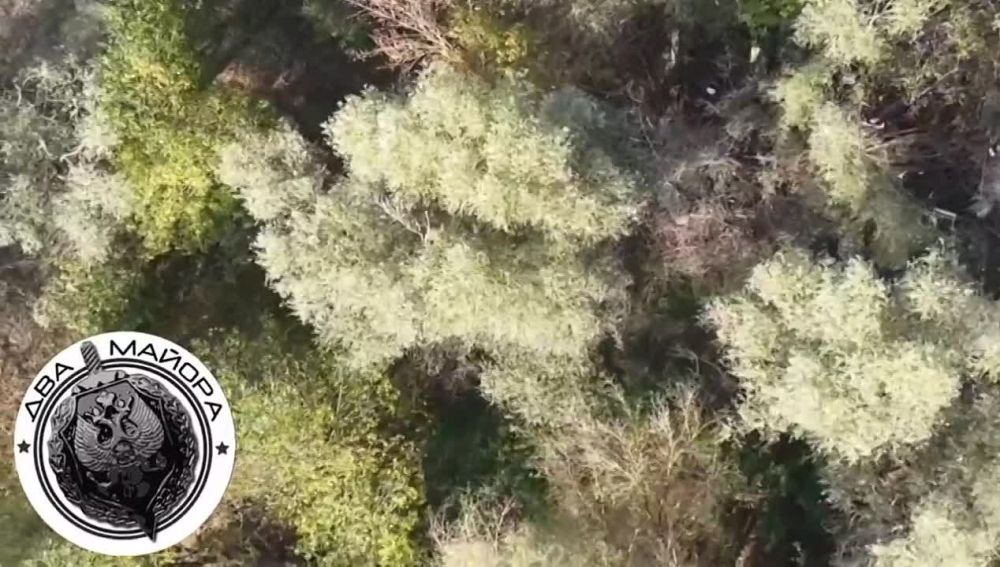 ��� ������: ���������� �����������, ���� ���. ���� ������� �������� �� ����� �����������, ���������������� � ����������