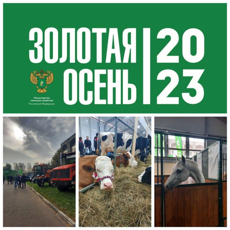 ��������� ������������ ��� ���������� ������� ��������� ������� � �������� �������� ����� � 2023�