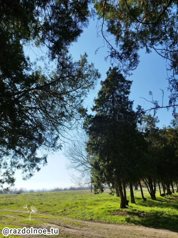 � ������ �����! ����������!