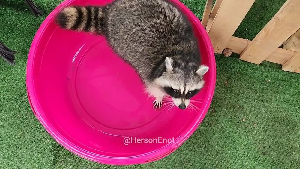 ���� �� �������: ������, �������� ���, ����!