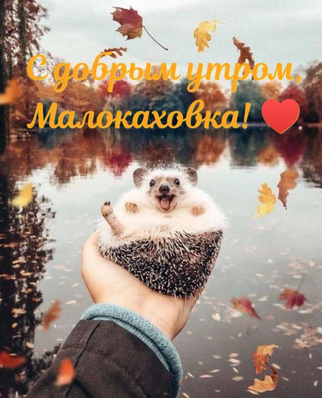 � ������ �����, �����������!