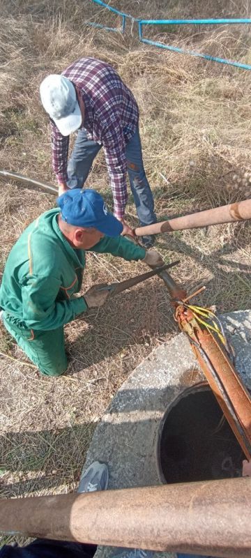 ������� ������� �������������� �����