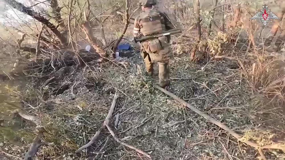 ����� ������ ������ 7-�� ������� ��� � ������ ���� �������� �� ����������� �����������