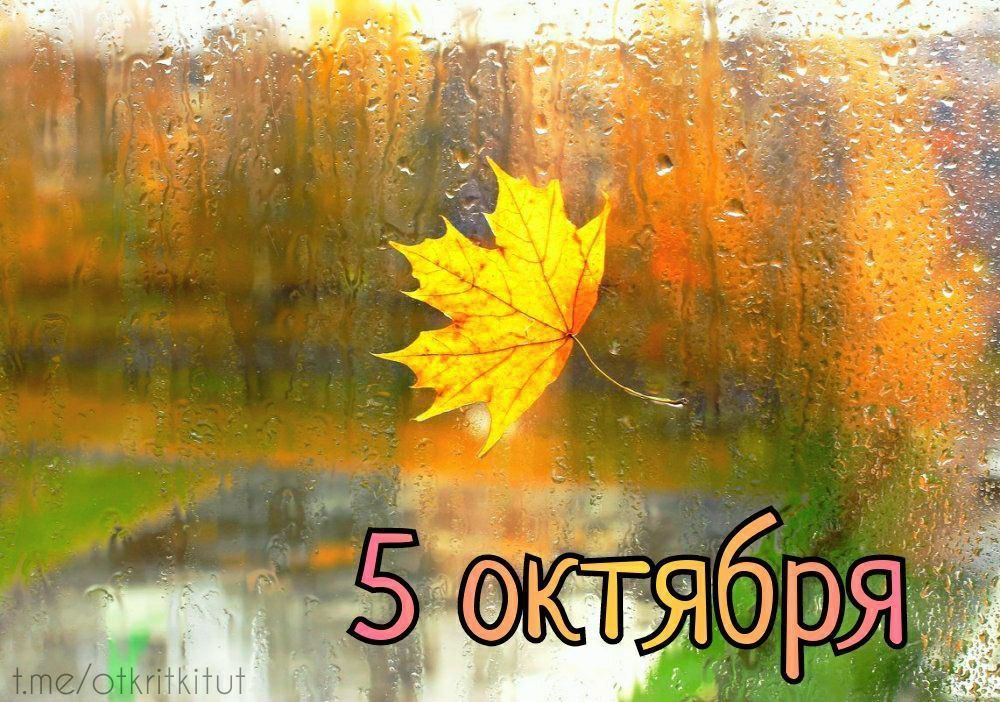 ��������� 5 �������. ���� ������� ���� ���������� ���������� ������� ������������� ���� ������ ����������� ���� ����������...