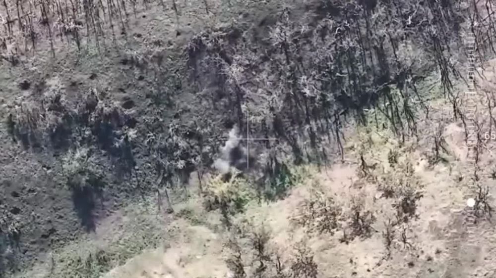 ������� ������������ ����� ����������� ����� ������ ������� ���������