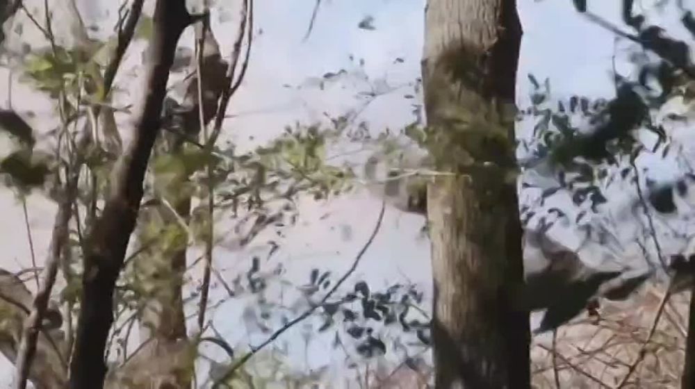 �������� �������� ��� �� ��������� ����� ������ �� �������� � ��������� ������������: ����� � ���� ������ ������� ���������...