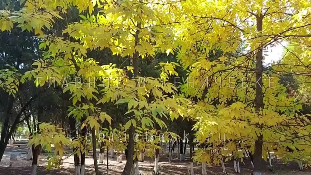 �������� ���� � � ��������� ��������� ����� ��������� �����