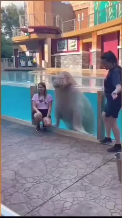 � ����� ������ ������ ���� ����� ��� ������! ��� ��� ���� ������, ����������� � ���������� � ��� ��������� �����