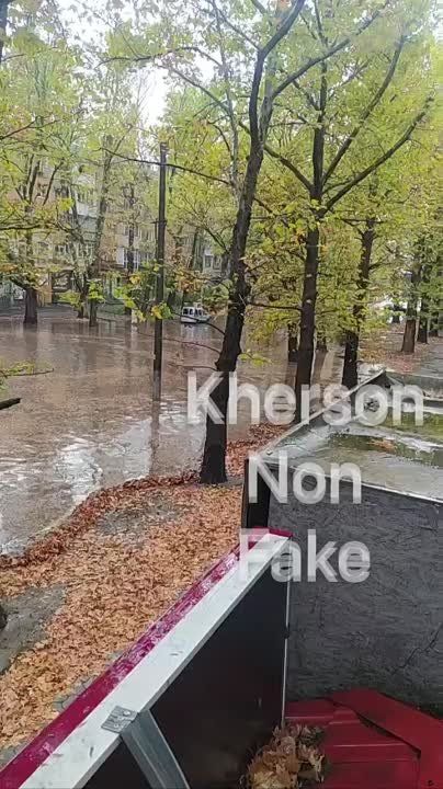 ������ ����� �����.