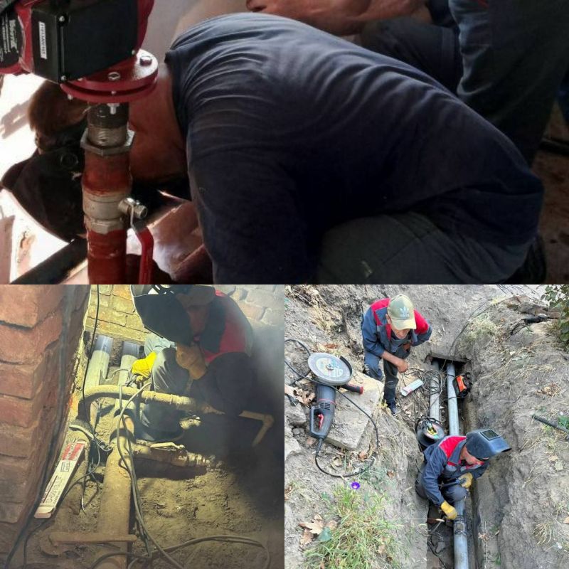 �� ����������� ���� � ���������� ������� ��������������� 64 % ���������, � ���� ������� ���������� � ����������