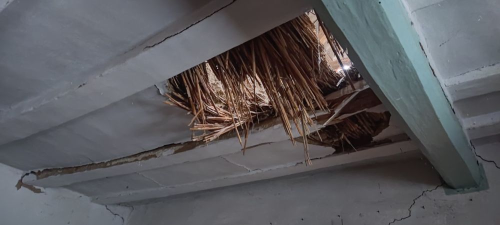 �� �������� ����� � ���� �����-���������� ���� ������������� 13 ������ �� ������� ���, �������� � ������������� ������������������ ������