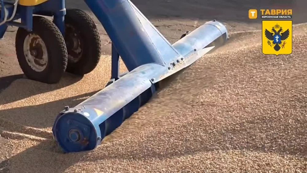 �������������� ��������: ��� �������� ����� ������� ����� ����� � ���������� �������