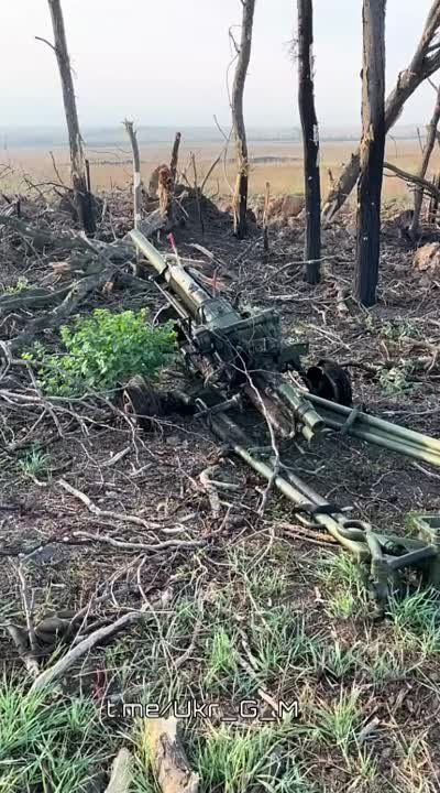 ����� �������� ����������� �� �� ������� �������� ��� � ������������� ����������� 82-�� �������� "�������" �� ����������� �����������