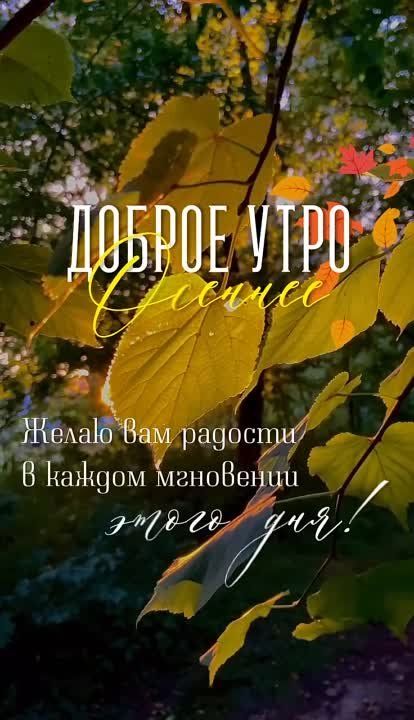 � ������ �����, �����������!