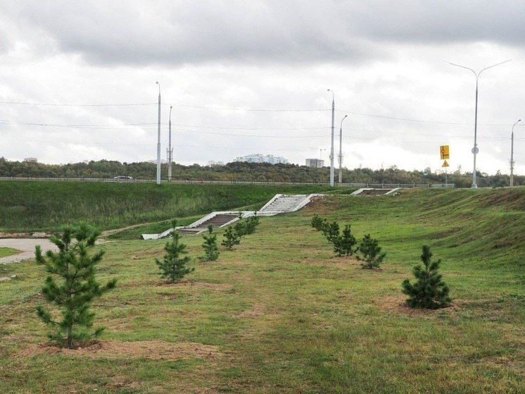 � ������ ��������� ����� ����������