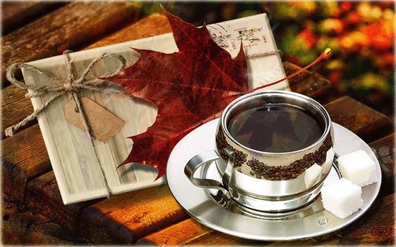 ����� � ��������. � ������ ���� ����� � ������� �������� ��������