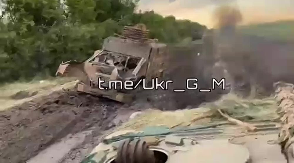 �������� ������������ ���������� ������� �� ����������� �����������