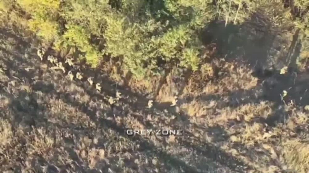 ����� �������� ��������, ��� � �������� ������� ���������� �������������� ������ ������� ����� ����������� ���� ������� �������