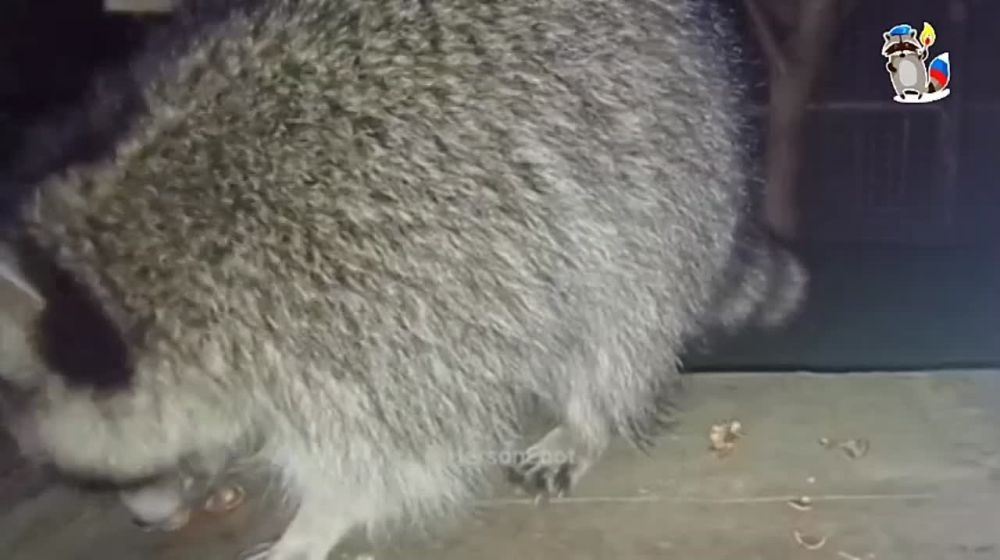 ���� �� �������: ������ �������. ������ ��� ����������� @HersonEnot