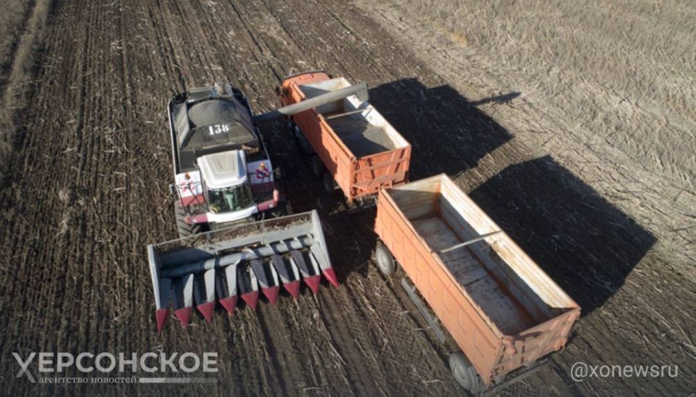 ���������� ������ �������� ������� � ����� �������