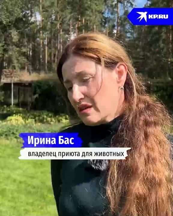 ������-���� �� �������� ���������� ���� ��� � ������� �����