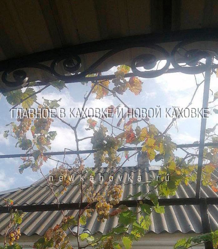 �������, ��������� ������� � ������� � ������ ����� ������