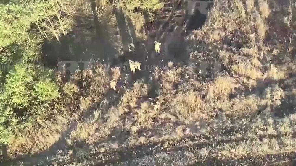 17 ����������� ������� � ���� ���� ������� ������� � ���