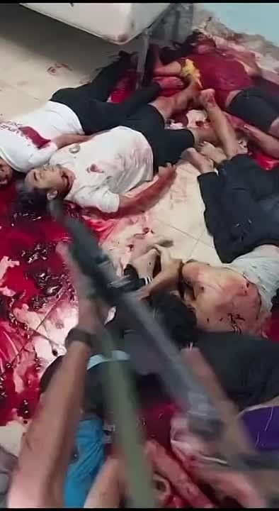 �������� ���������: 198 ����� � ����� 1600 �������� �������