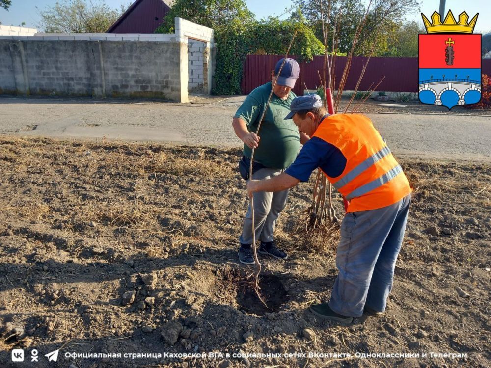 � ����������������� �� �������� 200 �������� �������