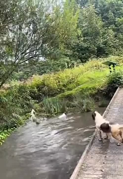 ������ ������ ����� ������� ��������� �������..