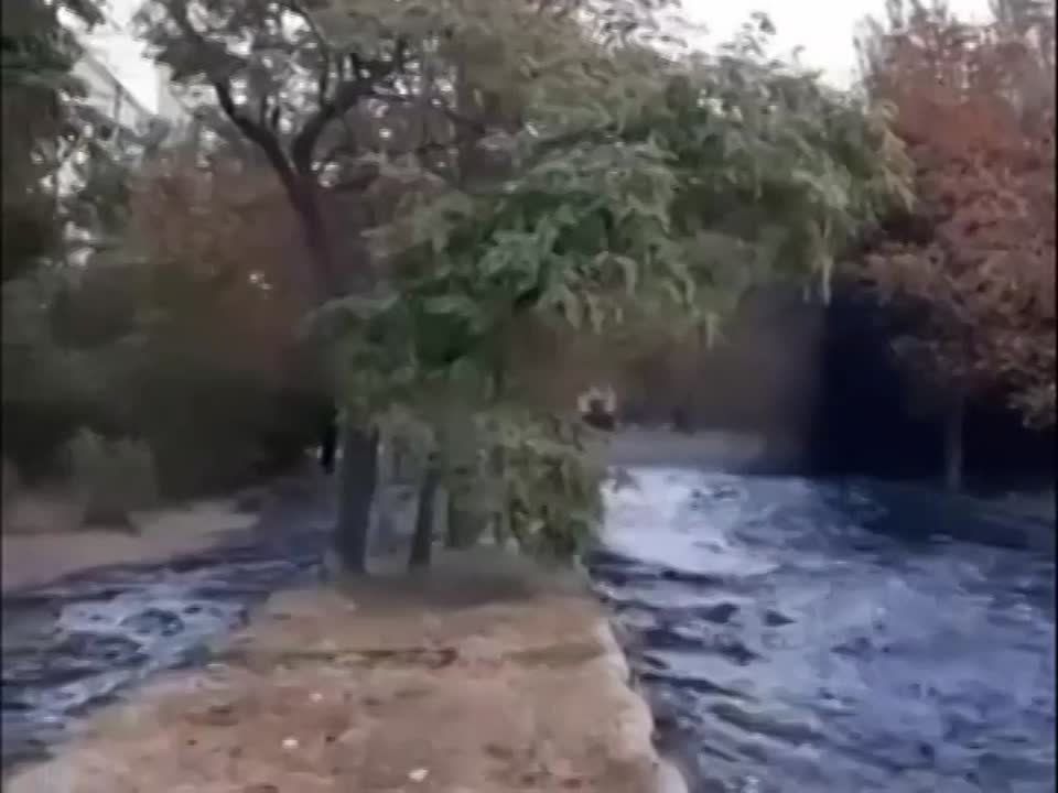 ��������� ���������� ����. ����: ������������� ������ �� ������������ ������, ������������� � ��������������...