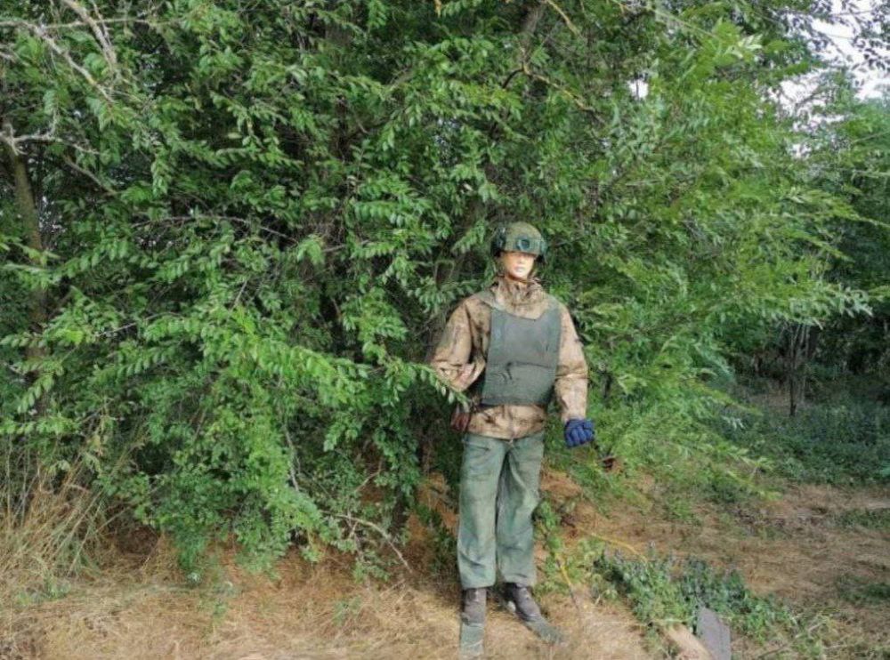 ���� ������ ���� �� �������������� ��������