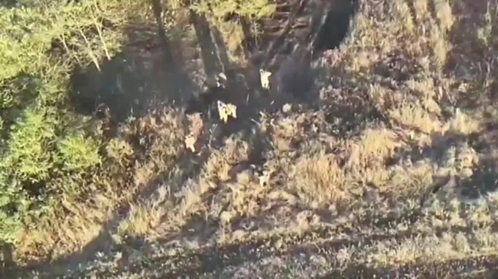 ��������� �����, ��� ������� ��� ������� ������� � ����