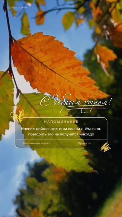 ������ ����, �����������!