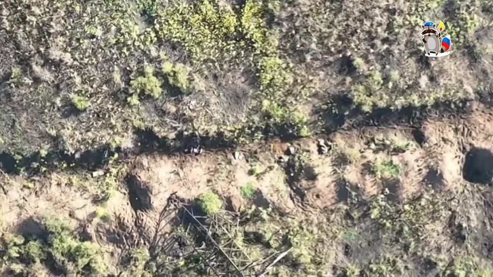 ���� �� �������: �������� �������� ������� �� ���������� �����������