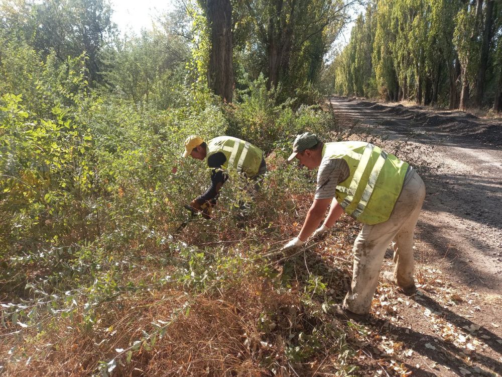 ������� ���������� �� �������� ������������� �����